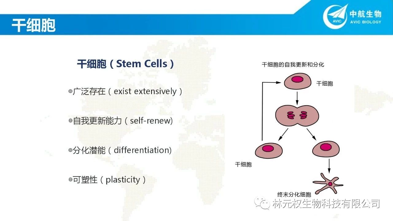 细胞治疗现状与展望