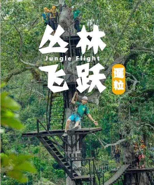 吴哥窟的滑索自然探险-做一次空中飞人！！！