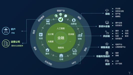 区块链在金融领域应用的理论依据、现实困境与破解策略