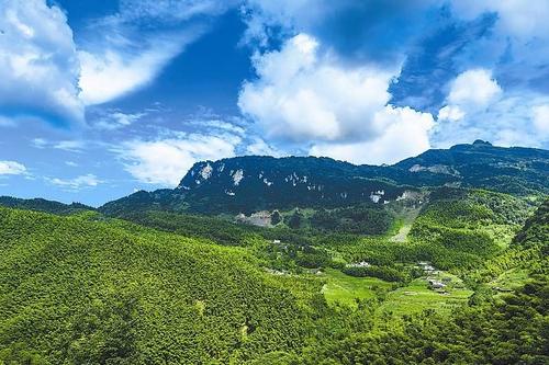 中国应对气候变化持续释放“正能量”   碳市场建设硕果累累