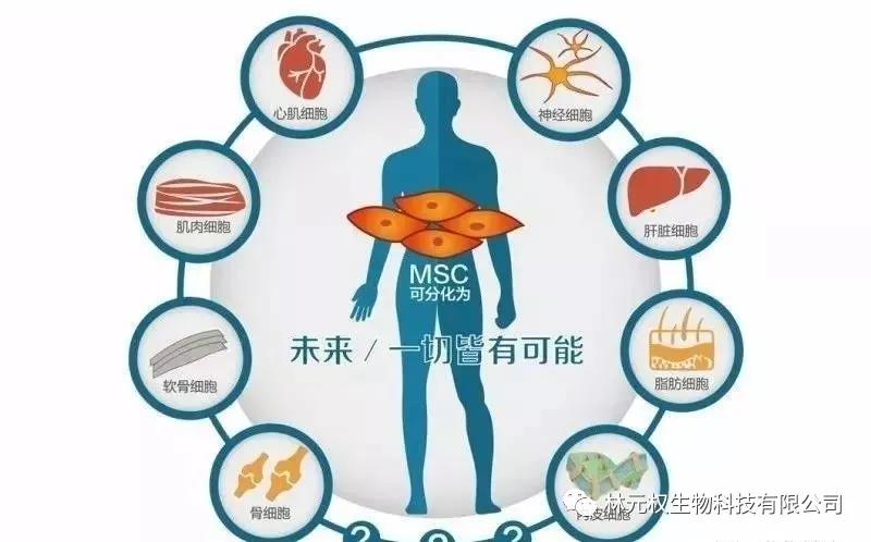 微信图片_20200805145538.jpg