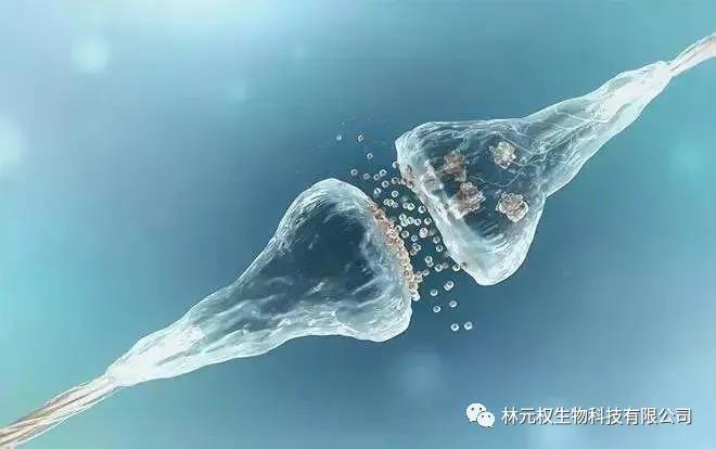 你是那1％吗？存储干细胞的人到底是怎么想的？