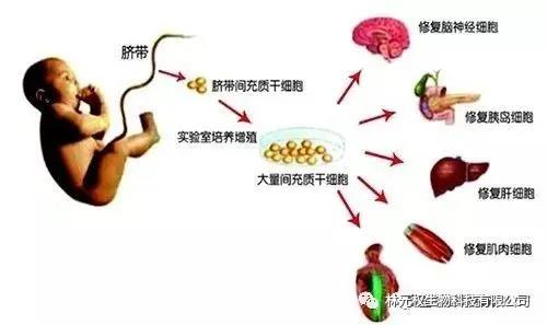 微信图片_20200807152442.jpg