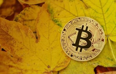 区块链技术赋能社会服务 将会带来怎样的改变？