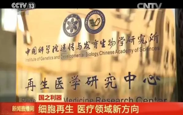 央视网丨【国之利器】细胞再生 医疗领域新方向！