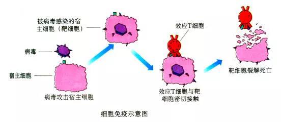 微信图片_20201120145345.jpg