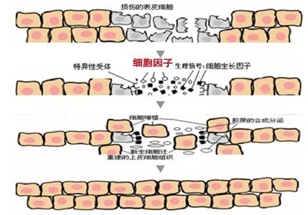 微信图片_20201214141203.png