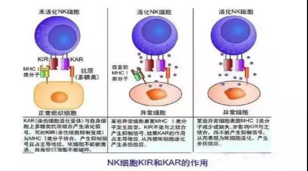 微信图片_20210102144103.jpg