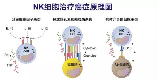 微信图片_20210102144115.jpg
