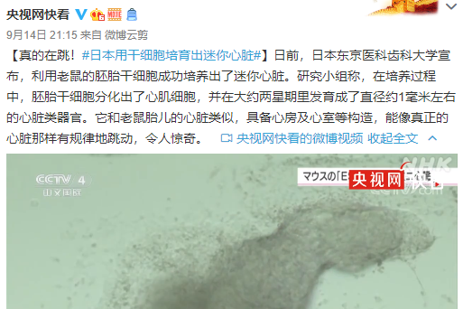 微信图片_20210217154115.png