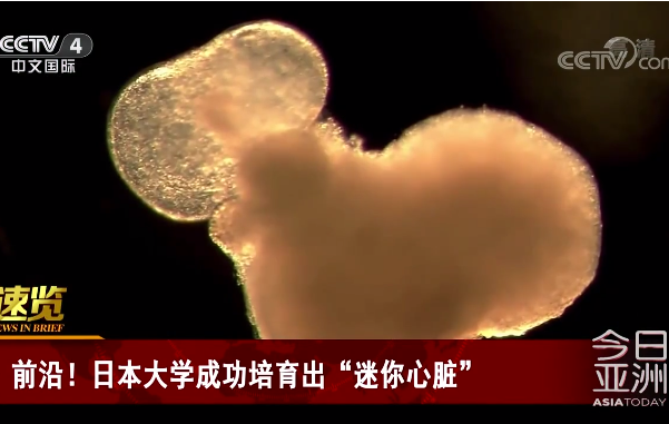 微信图片_20210217151758.png