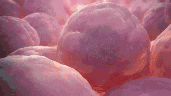 微信图片_20210218151643.gif