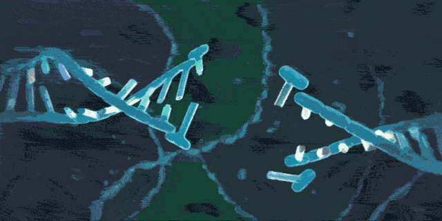 微信图片_20210218151659.gif