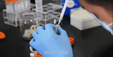 微信图片_20210223091650.gif
