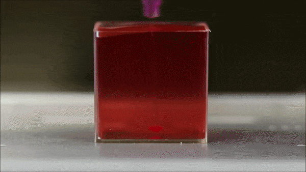 微信图片_20210304141036.gif