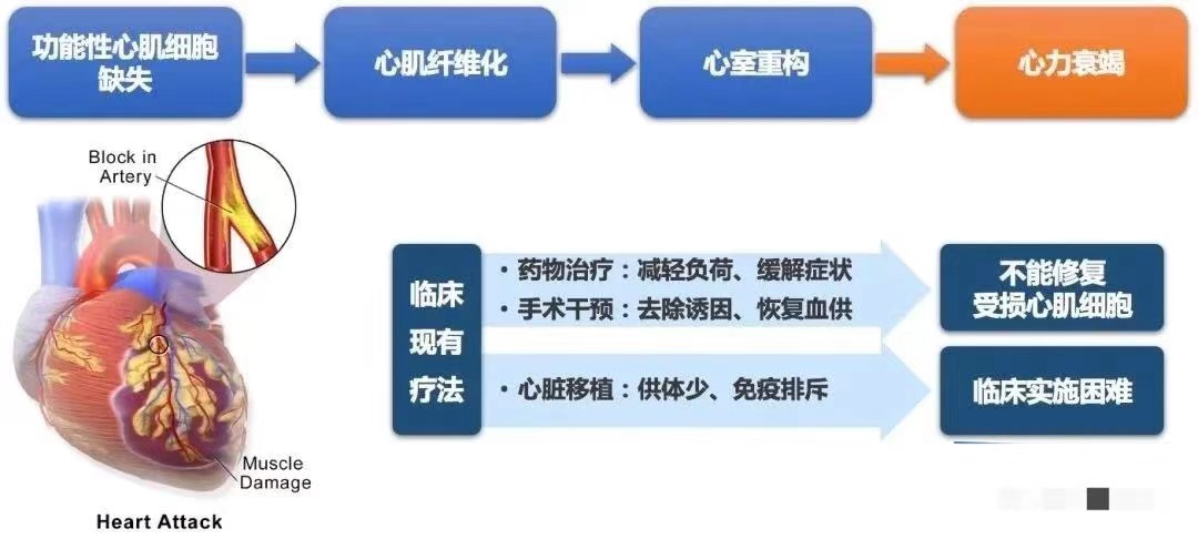 a5106dc0042a390b52dbb5f73c60f45.jpg