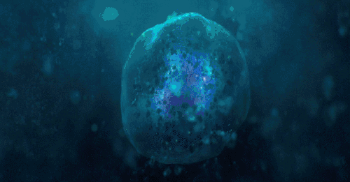 微信图片_20210311103617.gif